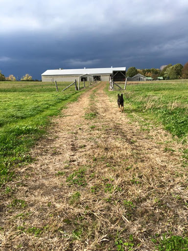Green Mountain Stables, LLC - Thumbnail