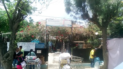 Photos of Lacteos Bol