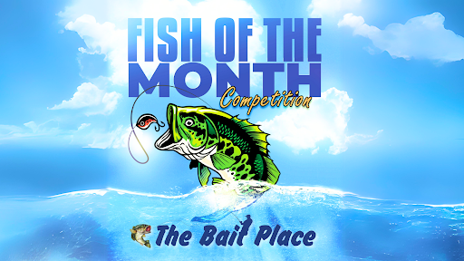 The Bait Place - Yamba - Thumbnail