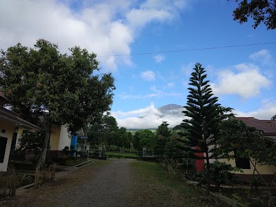 Photos of BESH Dempo Flower Pagaralam