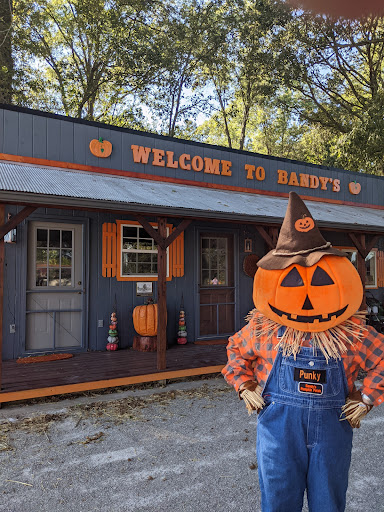 Bandys Pumpkin Patch - Visual