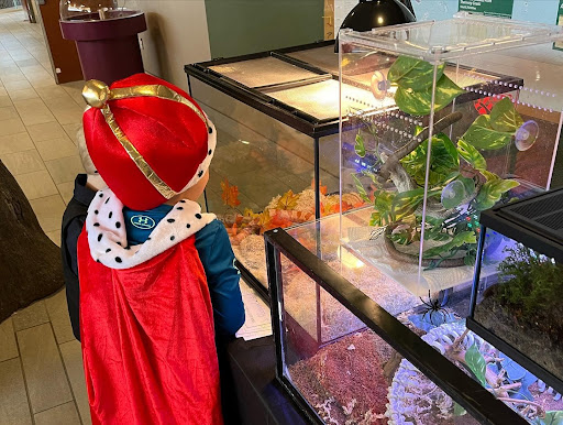 Her-petology Reptile Shows - Thumbnail