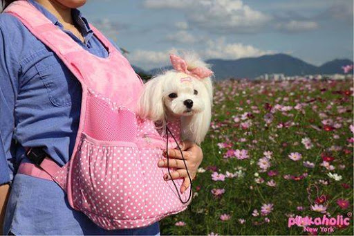 Simone's Hundedesign - Thumbnail