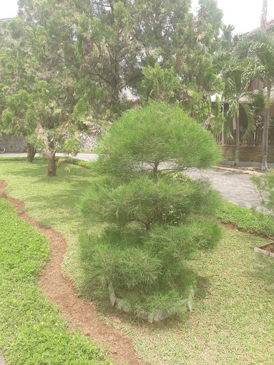 Photos of Momo Garden