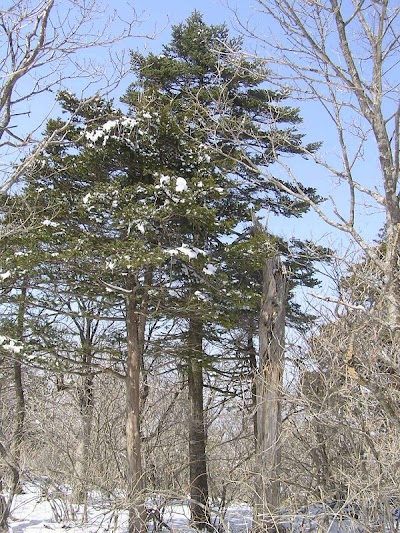 Photos of 발왕산