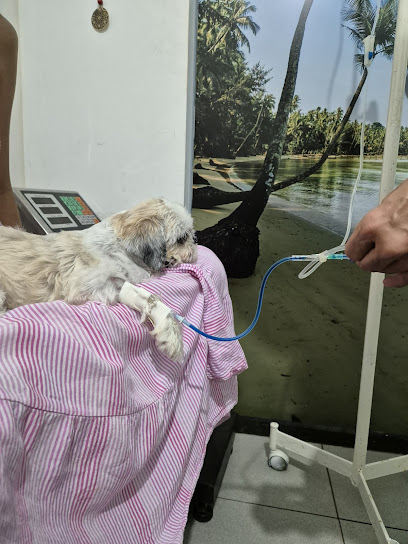 Dra Paula Rocha - Vet & Tao - Clínica Veterinária