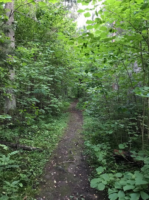 Loodi (Paistu) matkarada