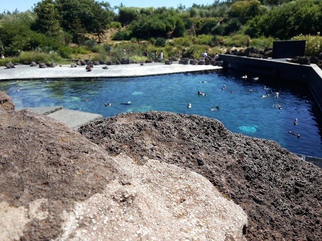 Parc des Oiseaux