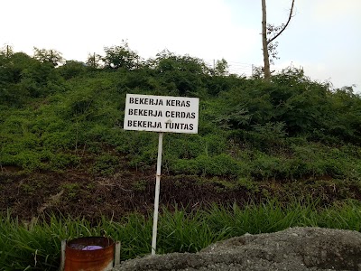 Photos of Ternak Sapi Kab Banyumas