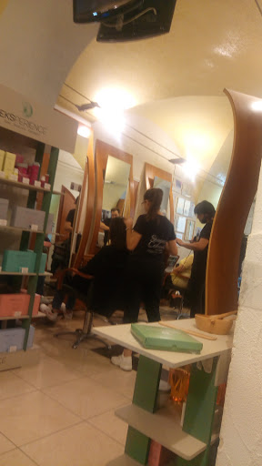Fabio Ziccardi hair Stylist