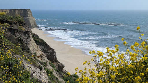 Coast Dairies State Beaches - Thumbnail