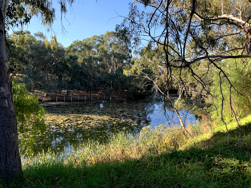 St. Peters Billabong