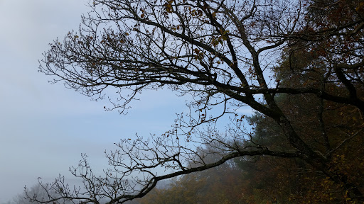Druidenstein - Thumbnail