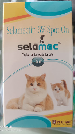 For Specially 🐈🐈 😺 Cat 6%Spot on Available. Selamec post image