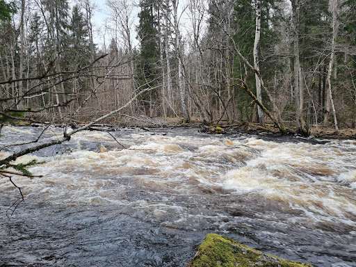 Järleån