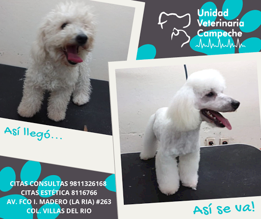 Unidad Veterinaria Campeche
