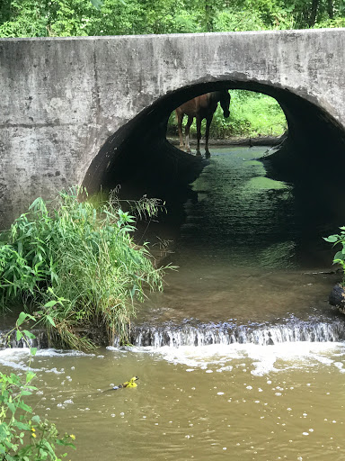 Chattanooga Valley Walking Track -CVNazarene - Thumbnail