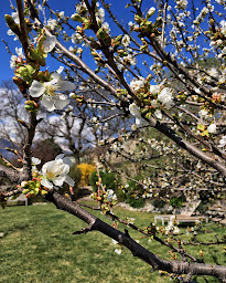 Photo n°17 de La Maison du Guil à Eygliers (Appartement de vacances)