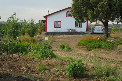 local-government-office