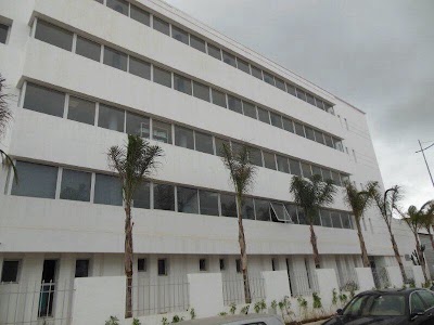 Photos of CONFETEX ALBO