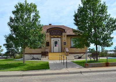 Mc Cone County Library