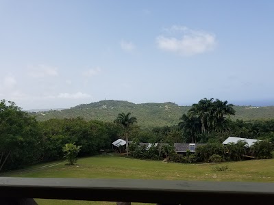 Photos of Naniki