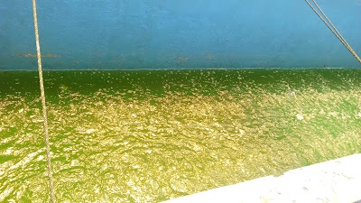 Photos of Titipan Sepeda Montor Jati Sarana Mukti
