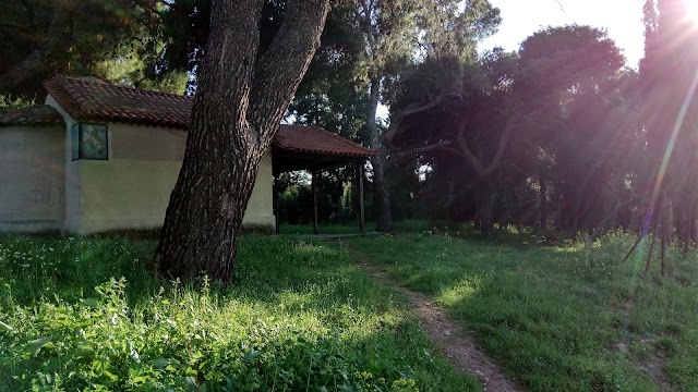 Lykovrysi