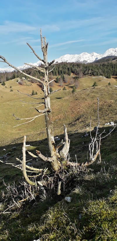 Monte Col Dei S