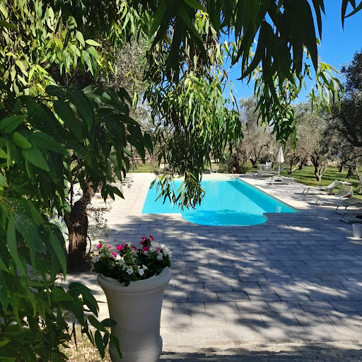 Tenuta Sidore - Visual