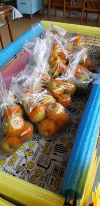 石井安五郎梨園