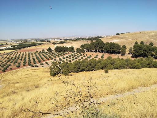 Ermita de Criptana - Visual