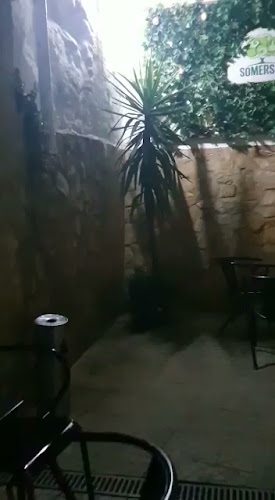 Avaliações doSpot 14 em Rio Maior - Bar