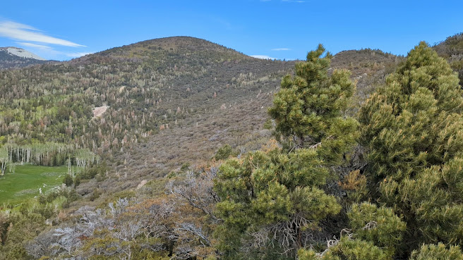 Great Basin National Park by null