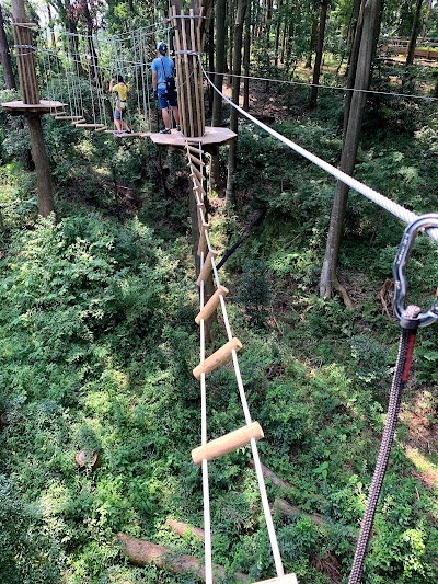 Forest Adventure Yokohama Yokohama Shi Kanagawa 81 90 4750 07