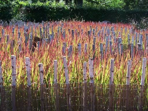 Photo de Les jardins de la Frolle à Bonnes (86300)