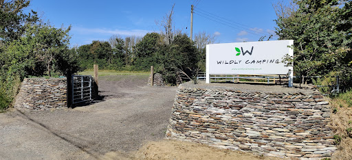 Wildly Camping - Thumbnail