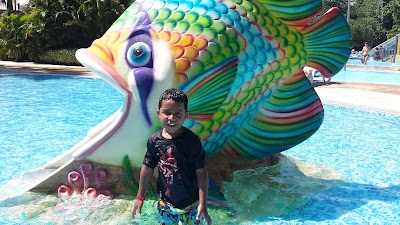 Photos of Sirenis agua park