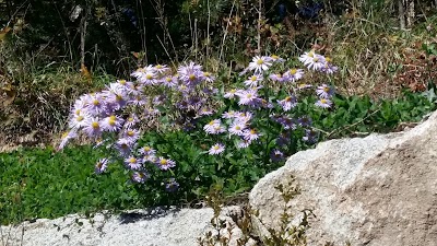Photos of 농특산물전시판매장