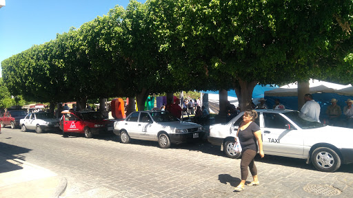 Area De Taxis - Thumbnail