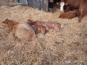 Photo n°1 de Aline Fermebio à Bucey-lès-Gy (Ferme)