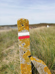 Photo n°88 de Camping de la Plage de Treguer à Plonévez-Porzay (Terrain de camping)