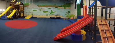 Whippersnapper's Play Gym