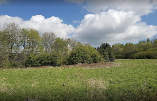 Brierfield loop walk. - Visual