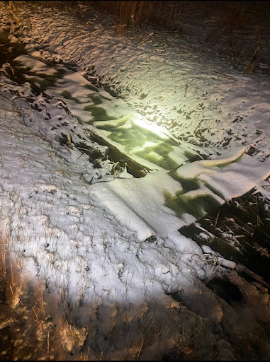 post-image-2