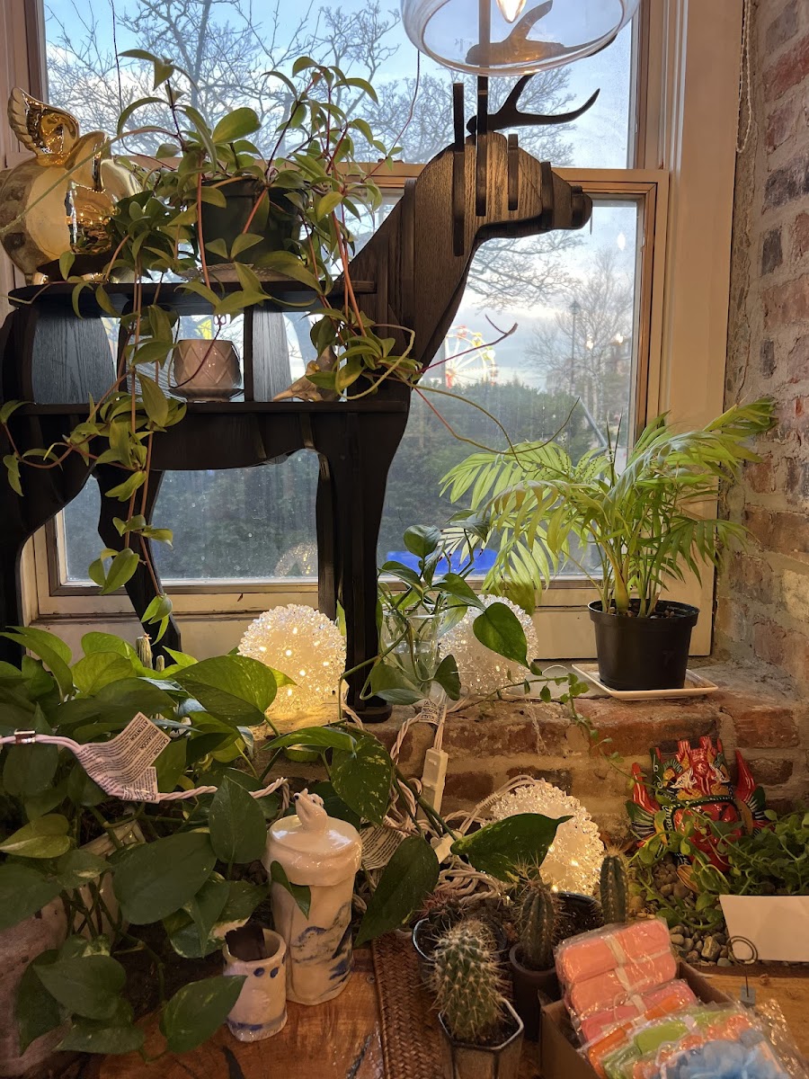 Yu Yo Craft Supply + Tea House — photo 9