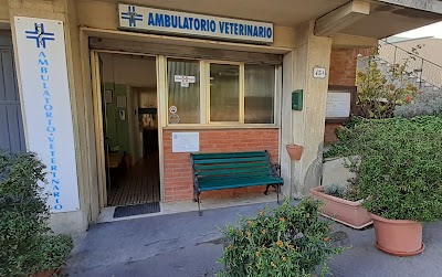 Ambulatorio Veterinario D.sa Francesca del Dottore