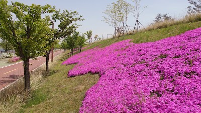 Photos of 경인아라뱃길 바람소리언덕