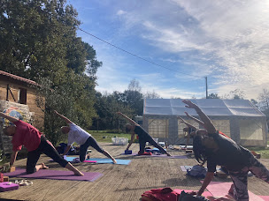 Photo n°2 de GO4Surf à Saint-Julien-en-Born (Centre de yoga)