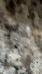 Photo n°25 de Lazzaro Pizza Guer à Guer (Restaurant de hamburgers)